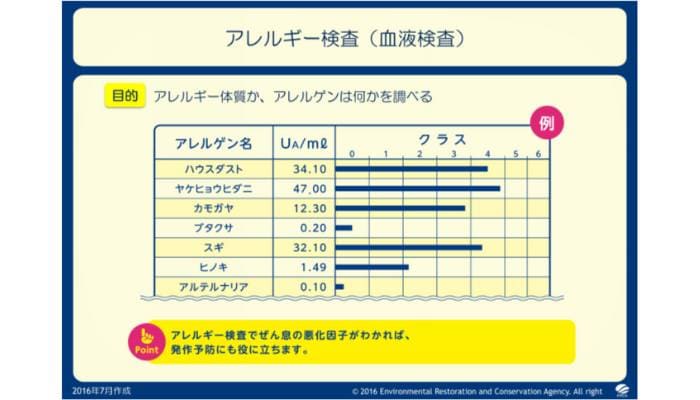 アレルギー検査の結果表。ハウスダストやスギ、ヒノキなどのアレルゲンが分類されており、数値とクラス分けで示されています。