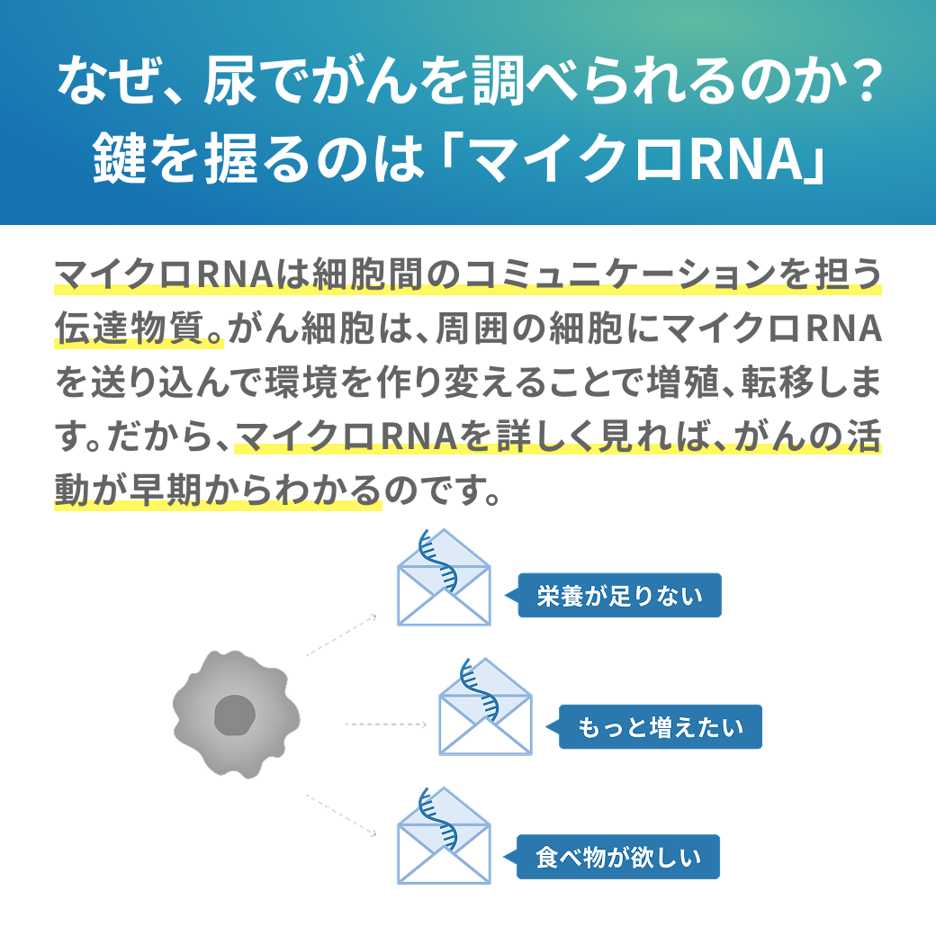 尿でがんリスクを調べる仕組みとマイクロRNAの説明